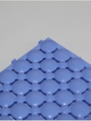 PremiumPort 3'lü Açık Mavi Ortopedik Plastik Yer Karosu ve Paspas Seti