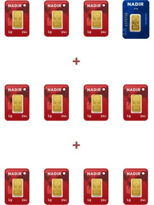 Nadir Gold 24 Ayar 13,5 Gram Külçe Altın (1 Adet 2,5 Gram Külçe Altın + 11 Adet 1 Gram Külçe Altın )