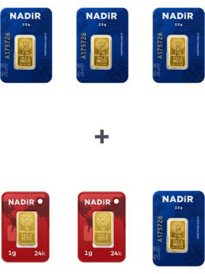 Nadir Gold 24 Ayar 12 Gram Külçe Altın (4 Adet 2,5 Gram Külçe Altın + 2 Adet 1 Gram Külçe Altın )