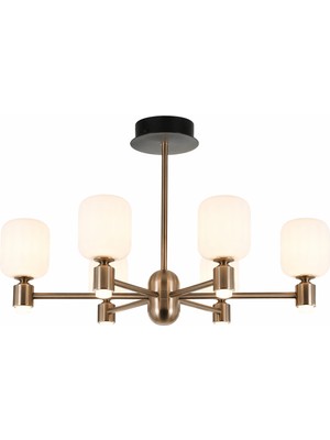Noya Lighting 6 Başlıklı Avize - Modern Ledli Avize - Lüks Salon Oturma Odası LED Avize - 75CM