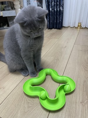 Morpiko Yuvarlak Toplu Kedi Oyuncağı Kedi Eğlencesi