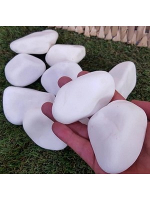 Lin Dekor Beyaz Dolomit Taş 4-6 cm 250 kg Dere Taşı Çakıl Taşı Bahçe Süs Taşı Peyzaj Taşı Dekoratif Taş