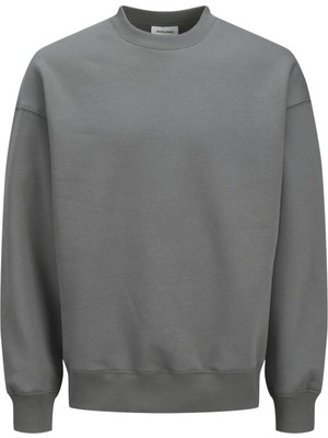 Jjeurban Edge Sweat Crew Neck Noos