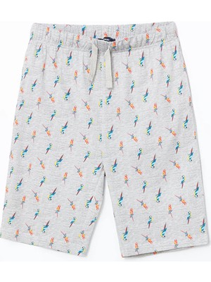 Lc Waikiki Yeni Sezon Standart Kalıp Erkek Pijama Alt Şort