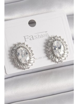 LTG Nova Pirinç Gümüş Renk Zirkon Taşlı Kadın Küpe - TJ-BKP9926