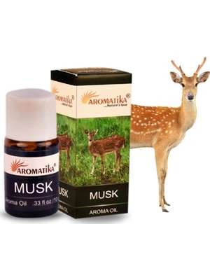Musk Buhardanlık Kokusu 10 ml