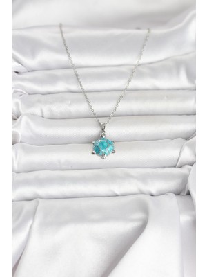 Hobibahçem 316L Çelik Zincir Gümüş Renk Kaplumbağa Model Kadın Kolye