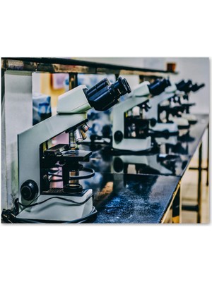 Özgürce Yanyana Mikroskoplar Ahşap Çerçeveli Tablo 25X35 cm Dekorasyon