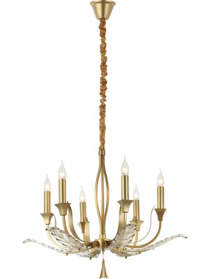 Lucea Dalıla 6 Lı Altın Avıze 6XE14