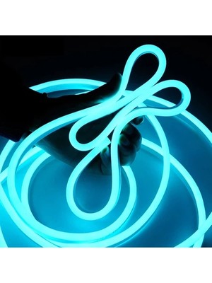 12 Volt 5 Metre Mor Neon LED Işık Prize Takılmaya Hazır Değil Esnek Silikon Şerit LED