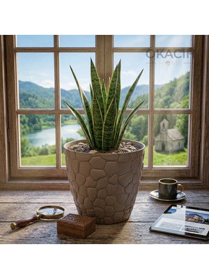 Okacih Taş Desenli Küçük Saksı 20 cm 4 Lt Dekoratif Saksı