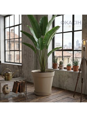 Okacih Modern Tabaklı Saksı 32 cm 15 Litre Büyük Boy Dekoratif Saksı