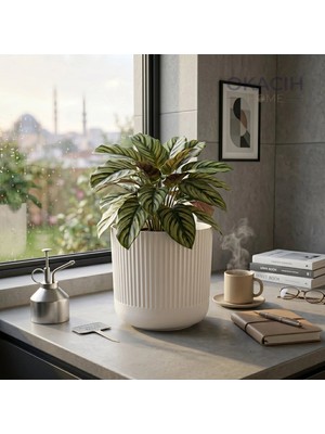 Okacih Modern Ribbed Çizgili Saksı 16 cm 2.8 Litre Dekoratif Iç Mekan Saksı