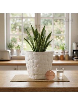 Okacih Taş Desenli Küçük Saksı 20 cm 4 Lt Dekoratif Saksı