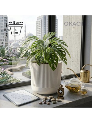 Okacih Modern Ribbed Çizgili Saksı 18 cm 4 Litre Dekoratif Iç Mekan Saksı