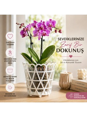 Okacih Dekoratif Kalpli Orkide Saksısı Şeffaf Iç Hazneli Modern Tasarım Çiçek Saksısı