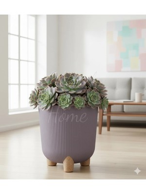 Okacih Modern Stick Line Saksı Akıllı Altlıklı 25X25 cm 9 Litre