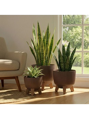 Okacih 3'lü Modern Stick Line Bambu Ayaklı Saksı Akıllı Altlıklı 18 Litre