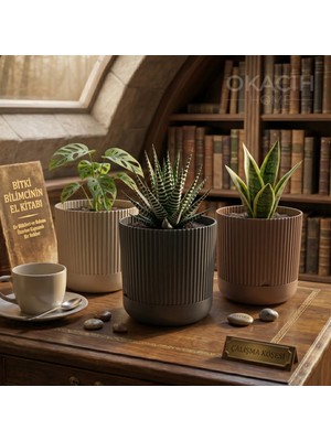 Okacih 3’lü Dekoratif Çizgili Saksı Seti 14 cm 1.8 Lt Modern Ribbed Tasarım Çiçek Saksısı (3 Renk)