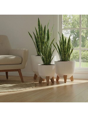 Okacih 3'lü Modern Stick Line Bambu Ayaklı Saksı Akıllı Altlıklı 18 Litre