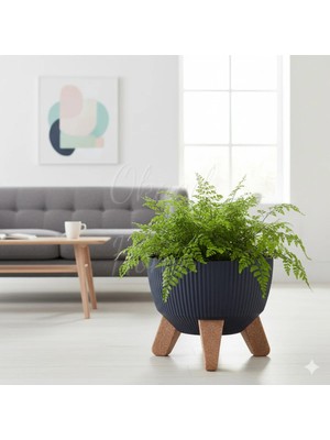 Okacih Modern Stick Line Bambu Ayaklı(7cm) Saksı Akıllı Altlıklı 19X16 cm 3 Litre