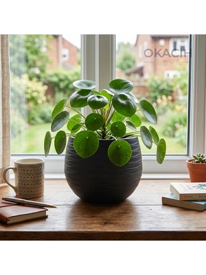 Okacih Yuvarlak Saksı Modern Çizgili Dekoratif Çiçek Saksısı