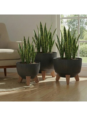 Okacih 3'lü Modern Stick Line Bambu Ayaklı Saksı Akıllı Altlıklı 18 Litre