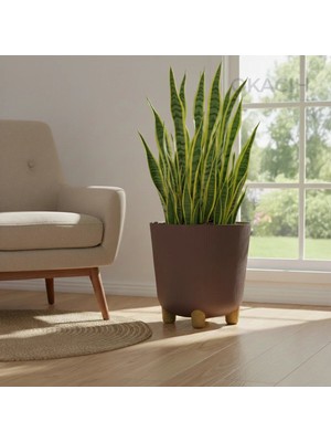 Okacih Büyük Modern Stick Line Saksı Akıllı Altlıklı 30X30 cm 25 Litre