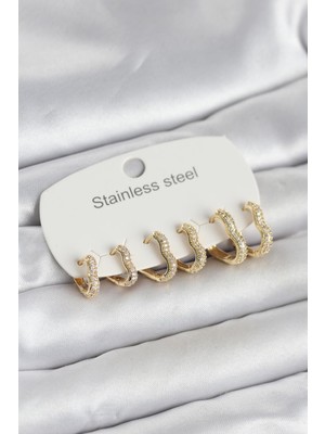 Norino 316L Çelik Gold Renk 6'LI Set Kalp Form Kadın Küpe