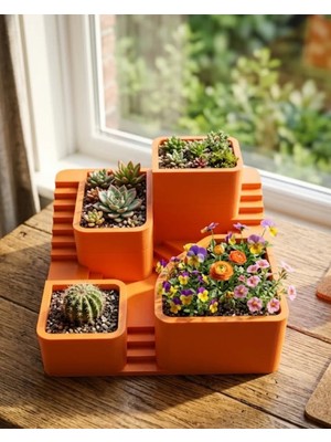 Senka 3D Kaktüs Saksı Seti Çok Bölmeli Modern Dekoratif Masaüstü Bitki Standı