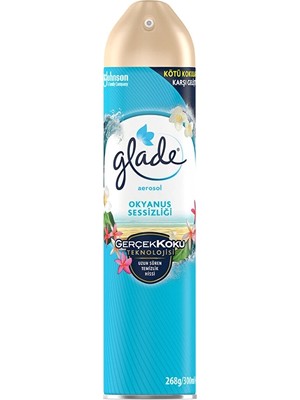 2 Adet Glade Oda Kokusu Aerosol 300 ml Okyanus Sessizliği