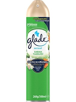 2 Adet Glade Oda Kokusu Aerosol 300 ml Sabah Tazeliği