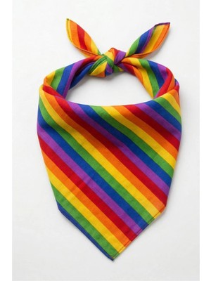 Petek Aksesuar Gökkuşağı Renkli Bandana