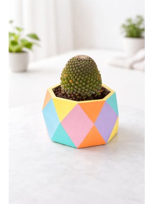 Özgürce Renkli Geometrik Desenli Dekoratif Saksı, Şık ve Modern Tasarım