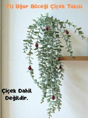 Özgürce 7'li Uğur Böceği Takısı ile Renkli Dekorasyon Keyfi