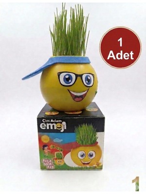 1 Adet Emojili Çim Adam Seti | Dekoratif Saksı Oyuncak | Eğitici & Eğlenceli Hediye |