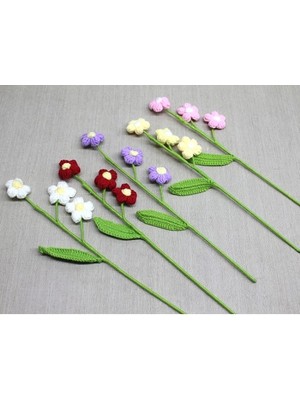 Ett El Örgüsü Papatya