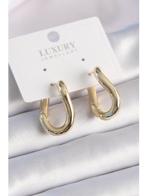 Paxteks Pirinç Gold Renk Halka Model Kadın Küpe