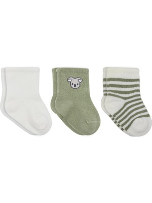 Najmaddin Bistyle Koala Boy 3'lü Penye Soket Çorap 10133 Ekru Sepeti Najmaddin
