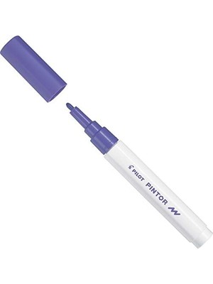 Naque Pilot Pintor F, Mor