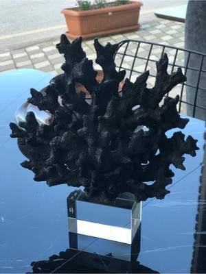 Özgürce Şık Siyah Polyester Mercan Dekoratif Biblo, Ev ve Ofis Dekoru Için