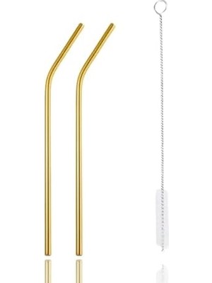 Naque Life 2 Adet Metal Paslanmaz Pipet ve Temizleme Fırçası MIT1217