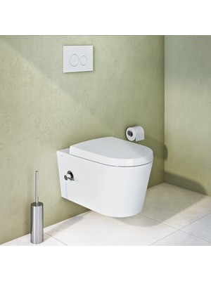 Naque A44893 Origin Krom Tuvalet Fırçalığı