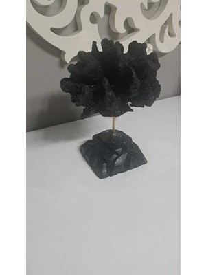 Özgürce Renkli Soyut Mercan Formlu Modern Masaüstü Dekoratif Obje, 6 Renk Seçeneği