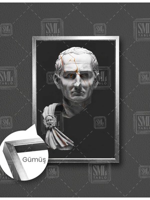 SML Tablo Romalı Devlet Adamı Büst Gold Detaylı  Dikey Çerçeveli Kanvas Tablo