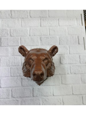 Ronanna Kahverengi Ayı - Lisinya