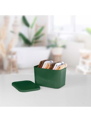 Esmo Home 6 L Kapaklı Midi Kutu