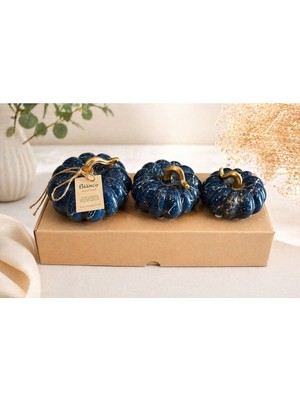 Özgürce Şık ve Renkli Dekoratif Balkabağı, Ev ve Bahçe Için Harika Süsleme Seçeneği