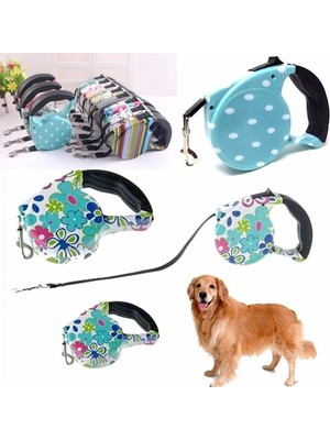 Desenli Köpek Tasması - Pup Style