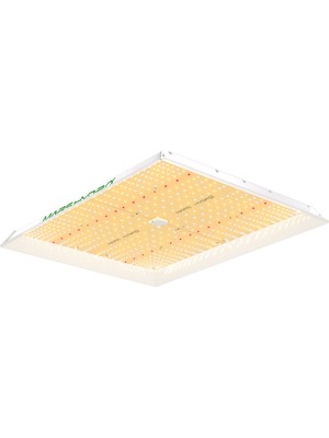 Mars Hydro TSW2000 300W LED Bitki Yetiştirme Lambası